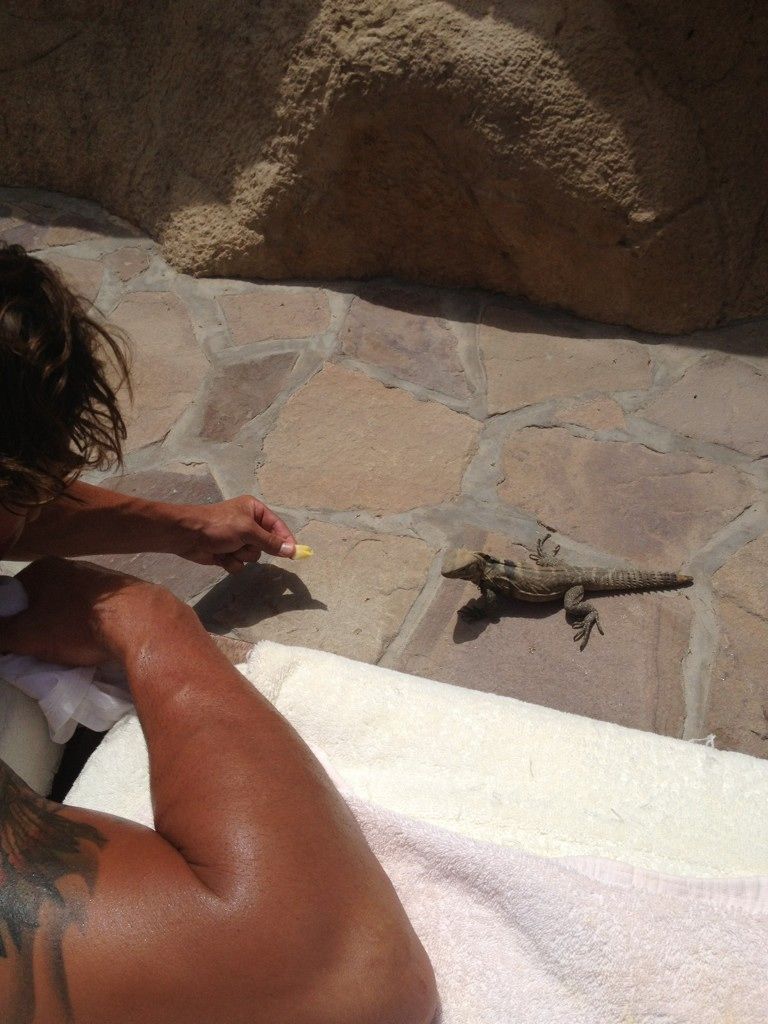 AwRP1jZCIAANHt1_jpg_large.jpeg AwRP1jZCIAANHt1_jpg_large.jpeg