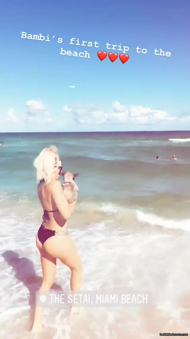 1893816278343733386_17284606_13.jpg 1893816278343733386_17284606_13.jpg