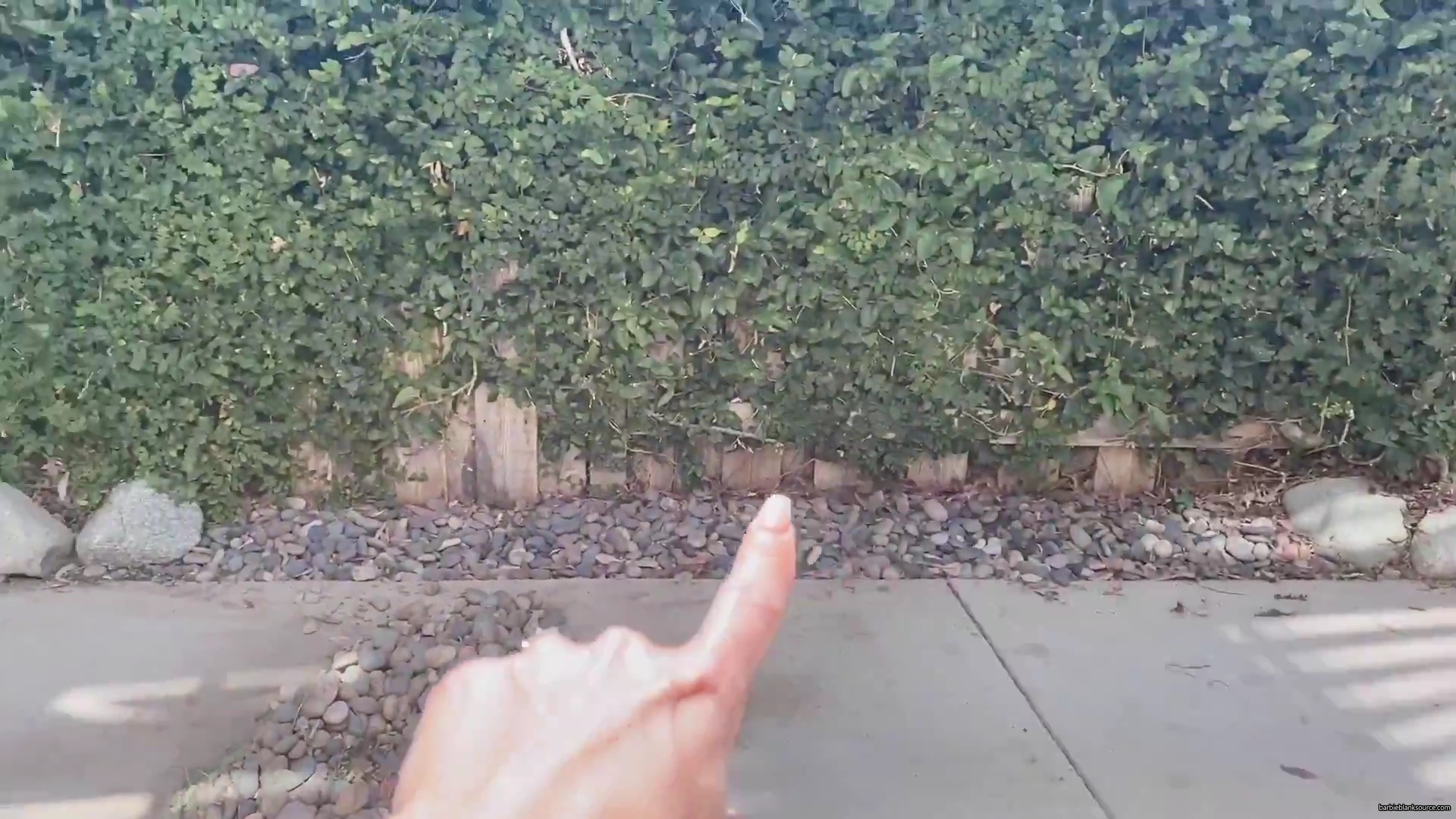 WHO_KNEW_DIYing_COULD_BE_SO_MUCH_FUN__21__mp40364.jpg WHO_KNEW_DIYing_COULD_BE_SO_MUCH_FUN__21__mp40364.jpg