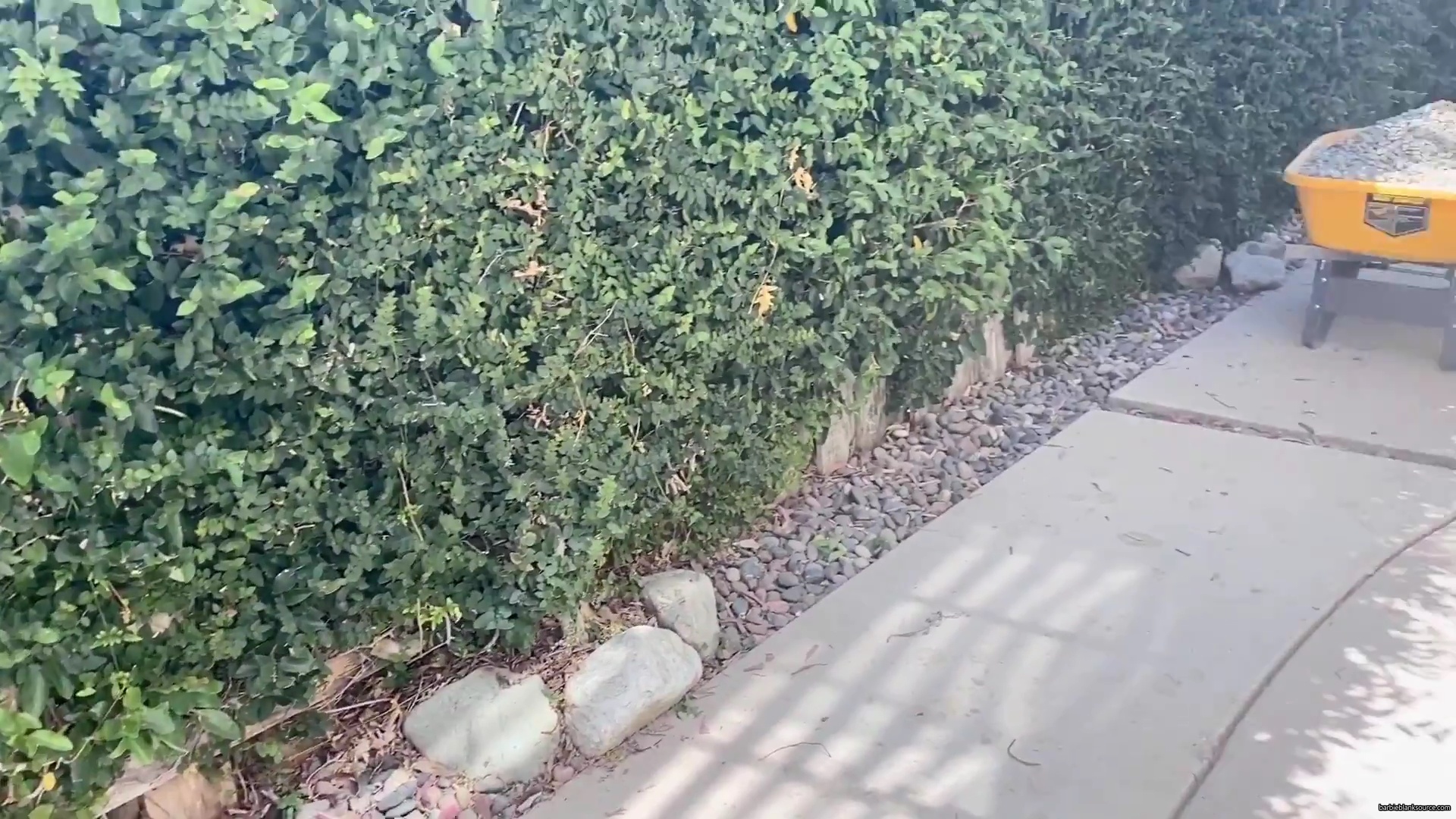 WHO_KNEW_DIYing_COULD_BE_SO_MUCH_FUN__21__mp40369.jpg WHO_KNEW_DIYing_COULD_BE_SO_MUCH_FUN__21__mp40369.jpg